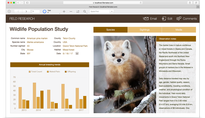 FileMaker WebDirect screen